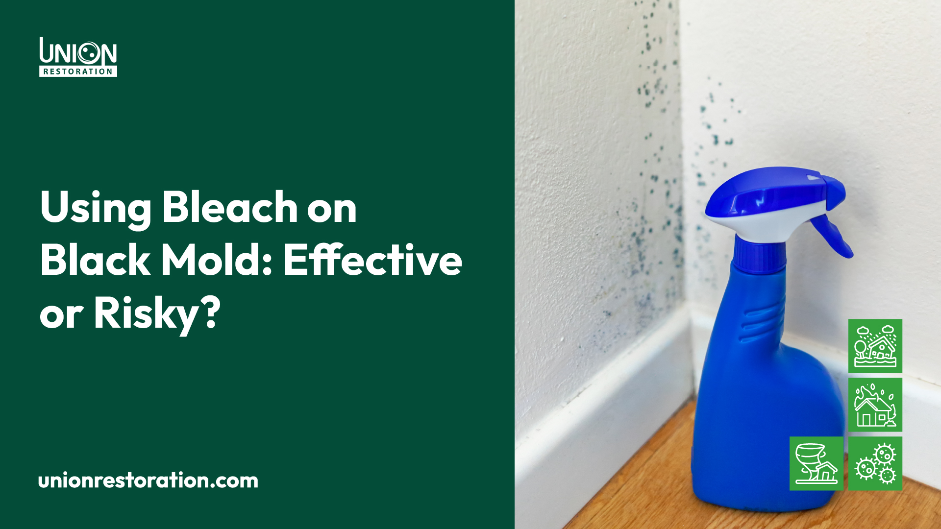 Using Bleach on Black Mold Effective or Risky?